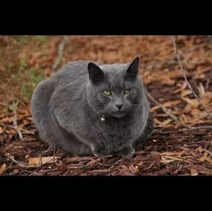 Meet your Posher, Clare